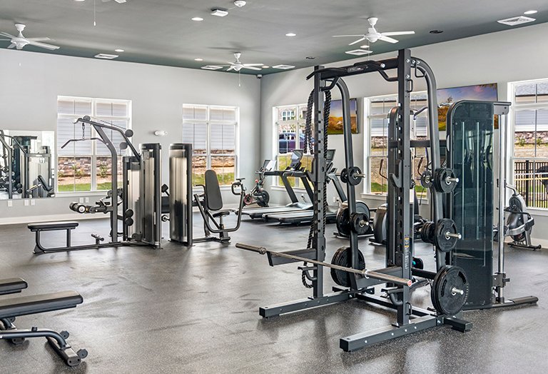 Equipment in Gym Equipment in Gym