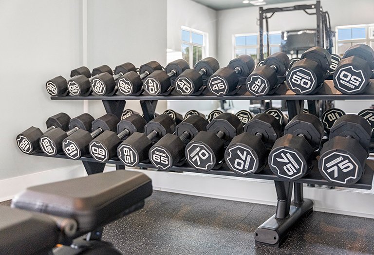 Weights in Gym Weights in Gym