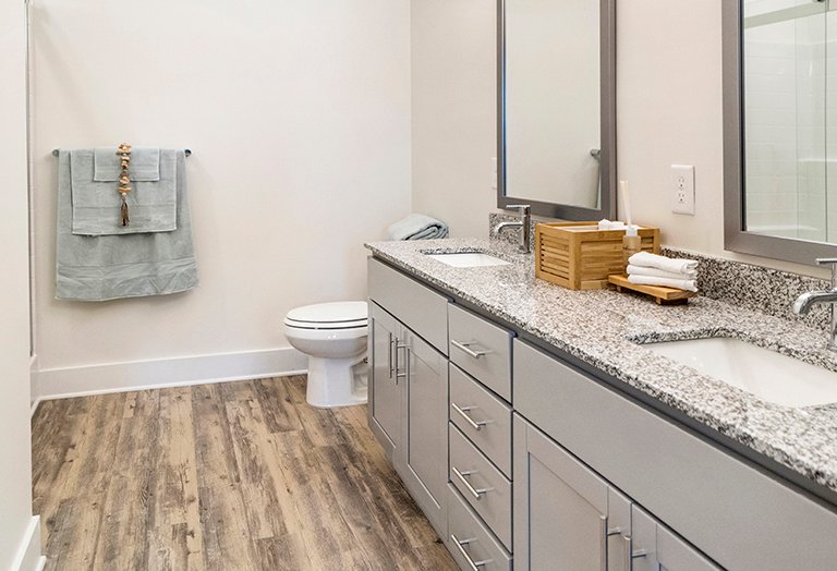 Bathroom in Apartment Home Bathroom in Apartment Home